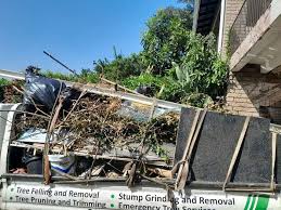  Wlow Springs, IL Junk Removal Services Pros